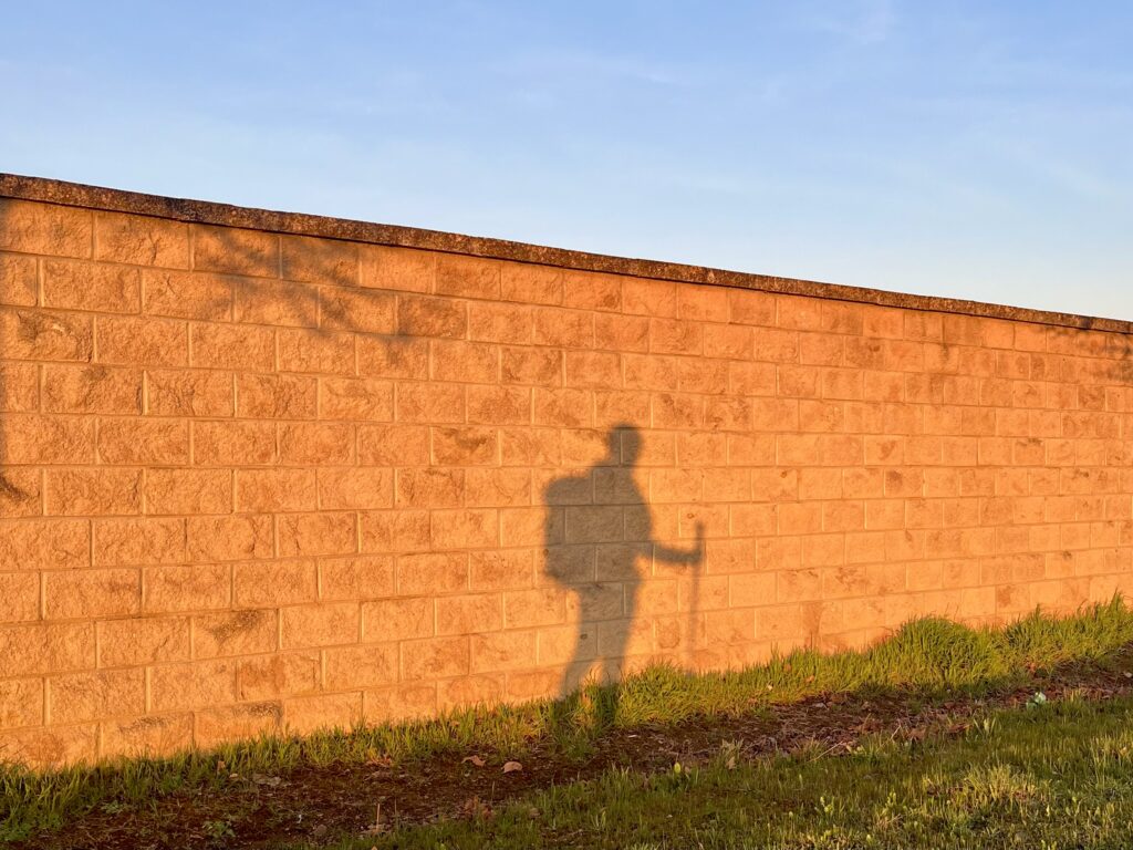 en chemin vers soi sur la voie de saint jacques de compostelle